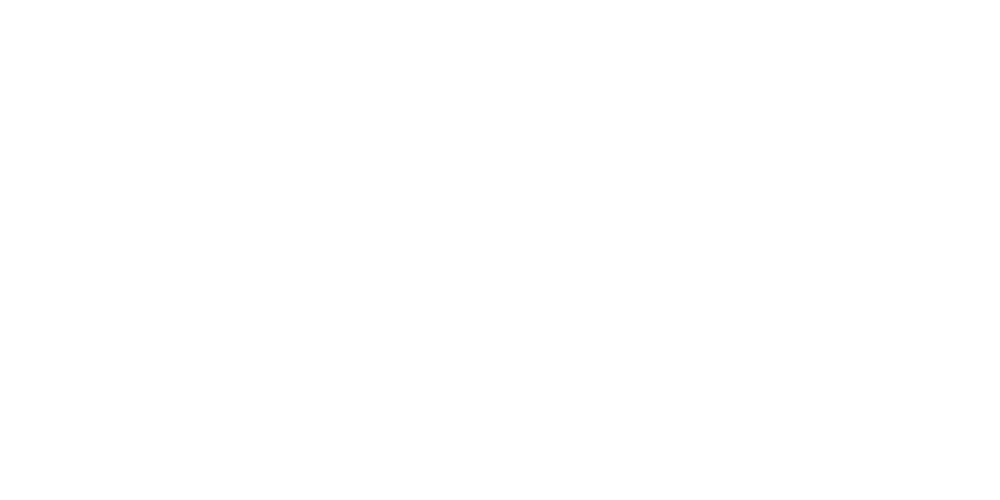 vue.js