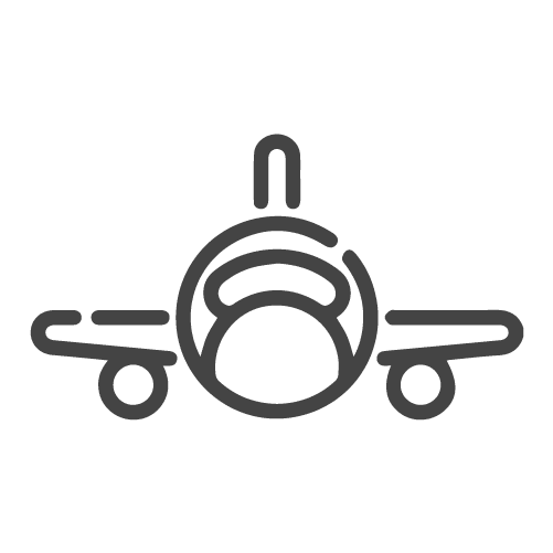 bio-icons_Plane