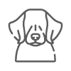 golden-retriever-01 icon