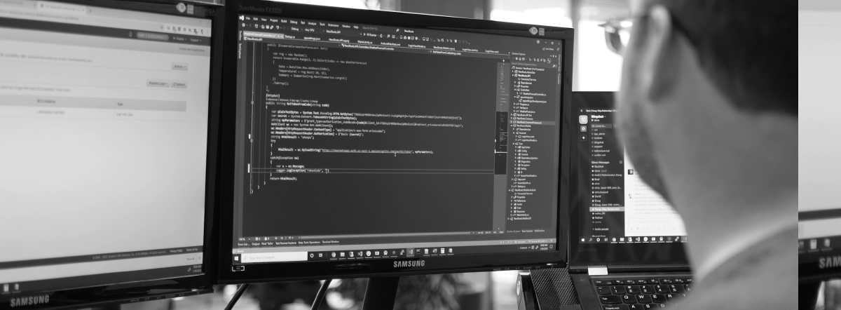 Interview with our Developers