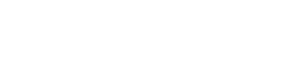Flutter