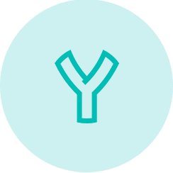 Y Logo Teal