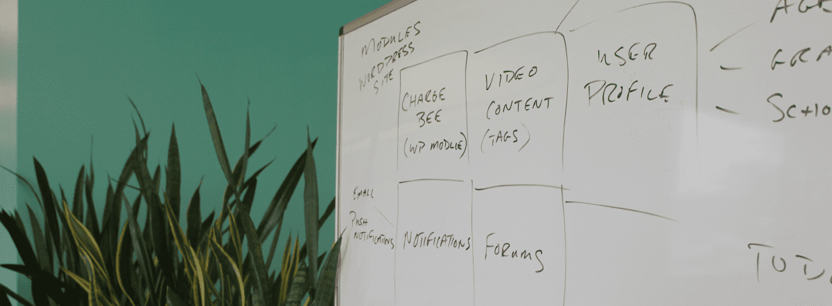 When to Use WordPress vs a Custom Web App