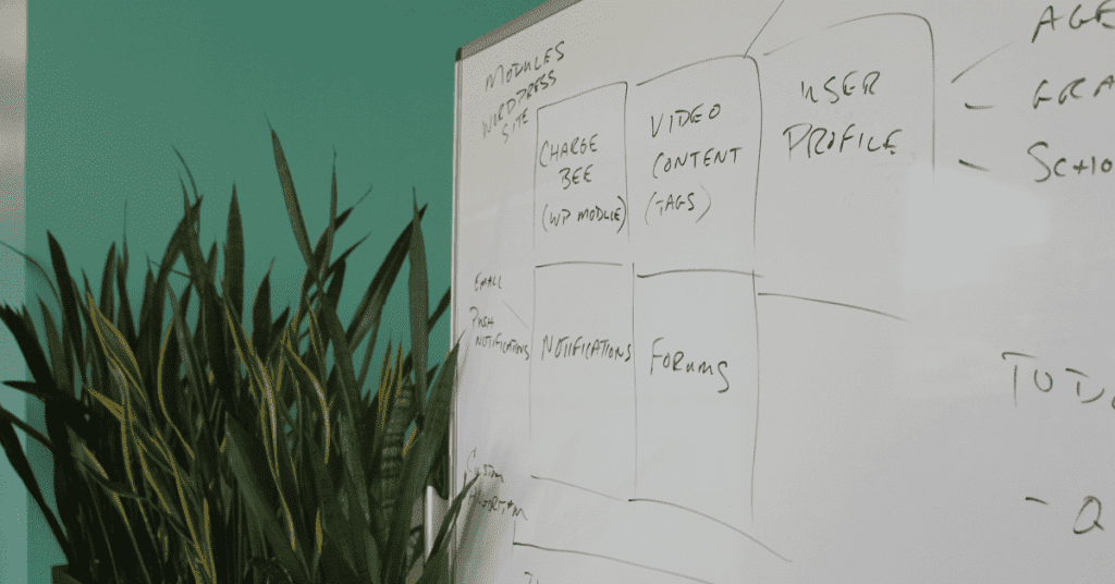 WordPress vs Custom Web App